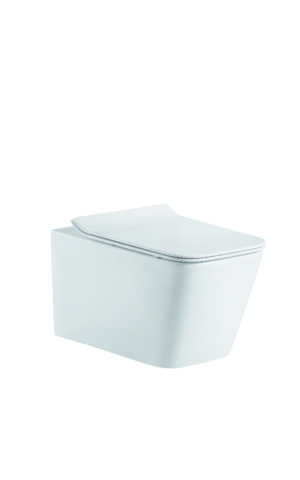 Zeavola Amore Wall Hung Pan Toilet, Rimless