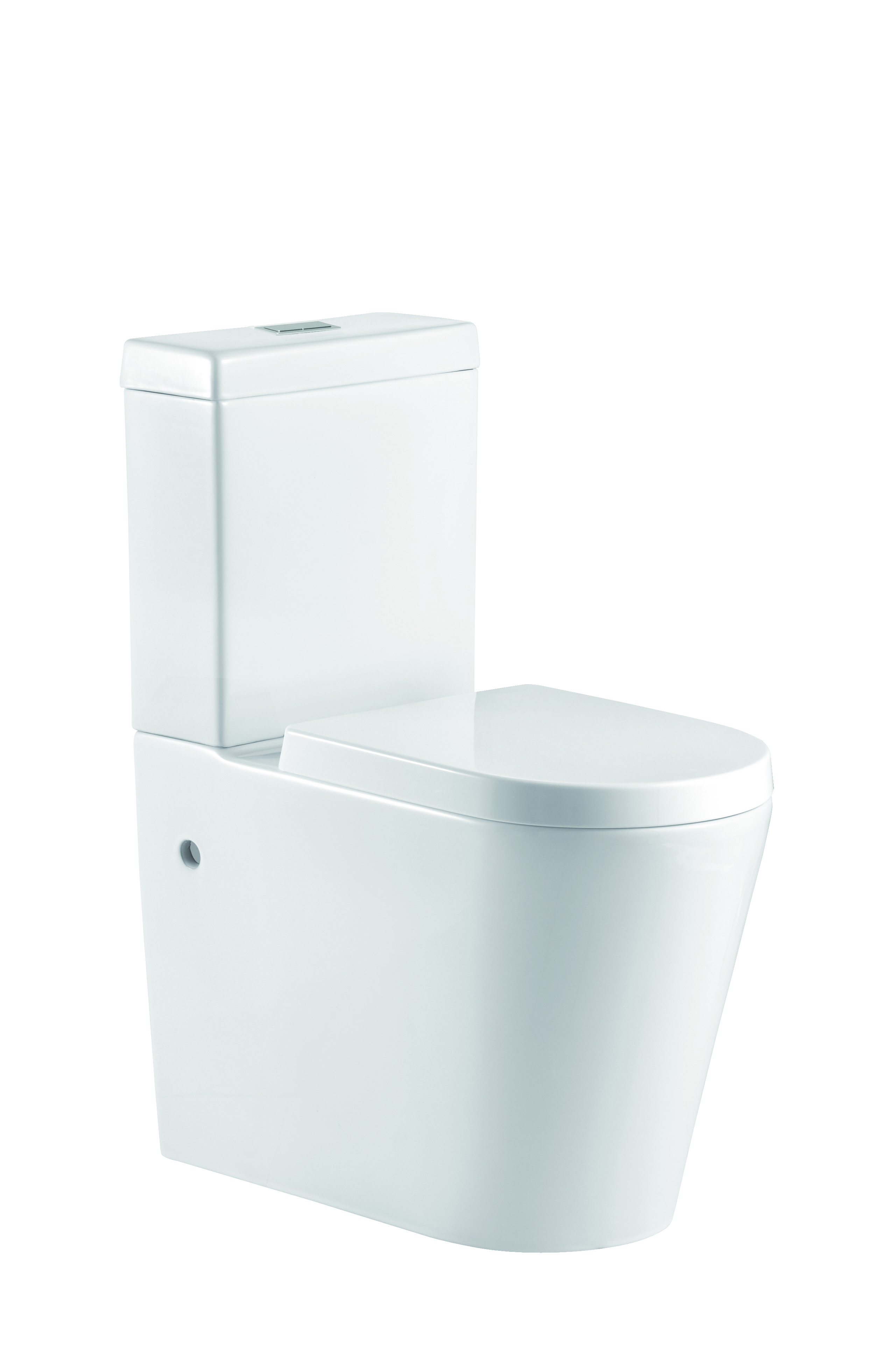 Zeavola Minorca back to wall toilet with thick seat