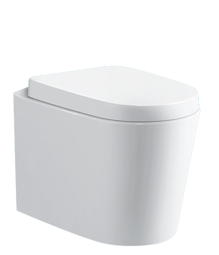 Zeavola ‘Torina’ Floor Pan Toilet | Tap and Sink