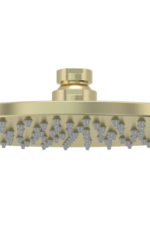 MEIR Shower Head 200mm, in Tiger Bronze Gold finish